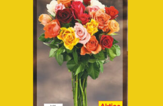 Netto-Rosen Harlekin,15er Bund, 2,49 € [bis 13.01]