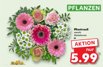 Kaufland – Pflanzen Angebot z.B. Mixstrauß je 5,99 € [KW01 bis 10.01.2024]