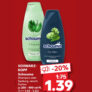 Kaufland – Schauma Shampoo oder Spülung für 1,39 €